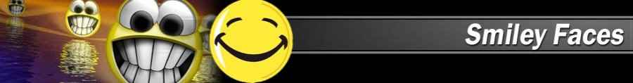 Custom/personalized reproduction Smiley Faces license plates