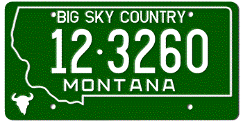 1973 MONTANA STATE LICENSE PLATE - 