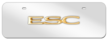 ESC GOLD NAME 3D MIRROR MID-SIZE LICENSE PLATE