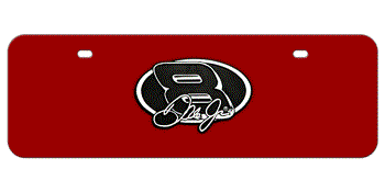 DALE EARNHARDT JR (8) NASCAR CHROME EMBLEM 3D RED MID-SIZE LICENSE PLATE