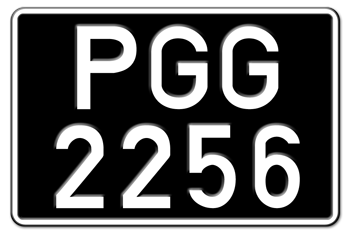 GUYANA SQUARE LICENSE PLATE FOR YOUR AUTO, TRUCK/LORRY - 