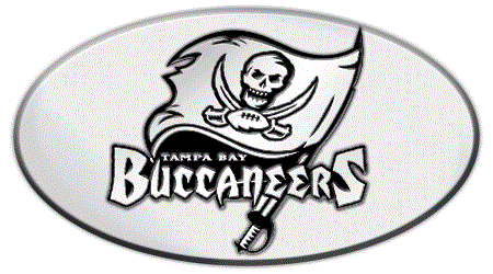 TAMPA BAY BUCCANEERS NFL (NATIONAL FOOTBALL LEAGUE) EMBLEM 3D OVAL TRAILER HITCH COVER