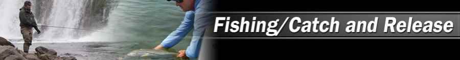 Custom/personalized reproduction Fishing/Catch and Release license plates