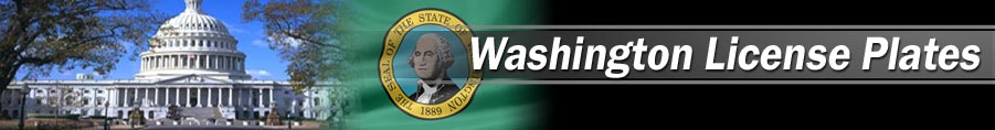 Custom/personalized reproduction Washington license plates