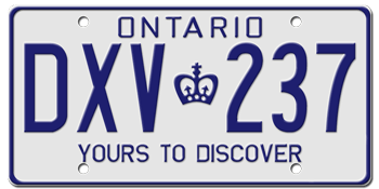1982 ONTARIO LICENSE PLATE - EMBOSSED WITH YOUR CUSTOM NUMBER