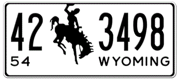1954 WYOMING STATE LICENSE PLATE - EMBOSSED WITH YOUR CUSTOM NUMBER