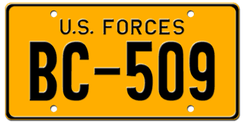 U.S. FORCES IN GERMANY LICENSE PLATE 