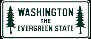 WASHINGTON THE EVERGREEN STATE LICENSE PLATE - EMBOSSED