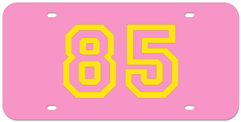 CUSTOM VARSITY PINK LASER LICENSE PLATE - GOLD NUMBER