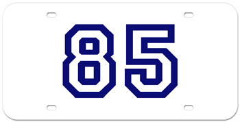 CUSTOM VARSITY WHITE LASER LICENSE PLATE - BLUE NUMBER