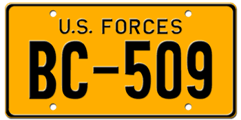 U.S. FORCES IN GERMANY LICENSE PLATE