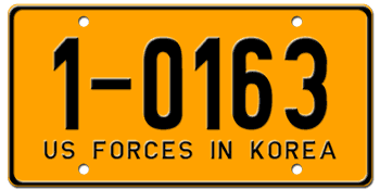 U.S. FORCES IN SOUTH KOREA -